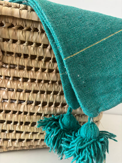 HOUSSE DE COUSSIN A RAYURE